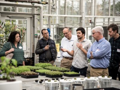 Cornell Group Explores Future of Indoor Farming