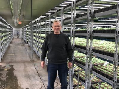 Can you use LEDs in all production phases of controlled environment agriculture?