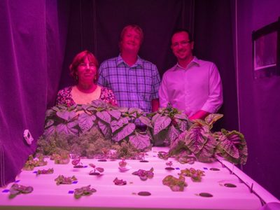 GLASE Profiled in Hort Americas
