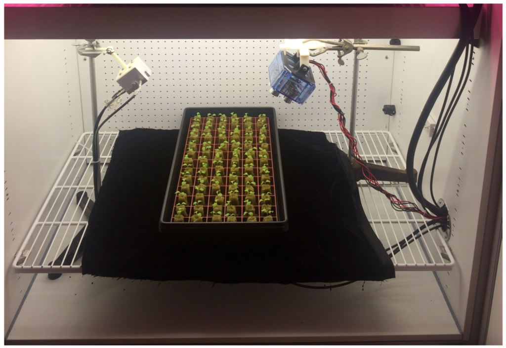 New real-time remote sensing technology to improve CEA lighting control systems