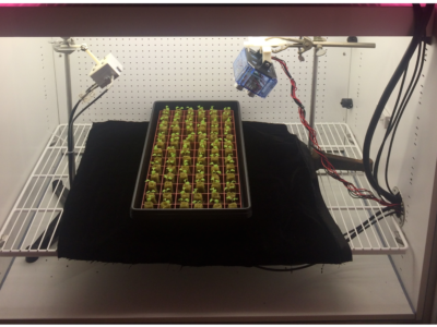 New real-time remote sensing technology to improve CEA lighting control systems