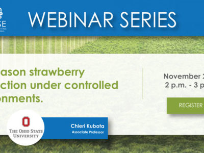 Off-season strawberry production under controlled environments