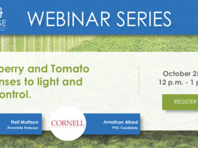 Strawberry and tomato responses to light and CO2 control