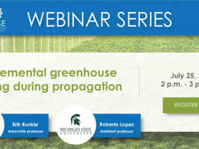 Supplemental greenhouse lighting during propagation