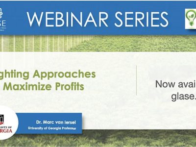 Lighting Approaches to Maximize Profits