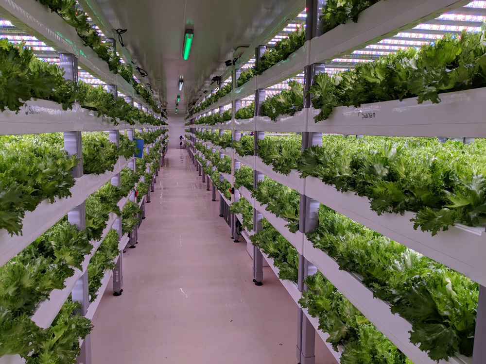 vertical farms