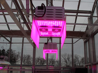 Dynamic LED Lighting Systems