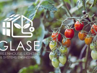GLASE looks to expand educational and membership opportunities for the controlled environment agriculture industry