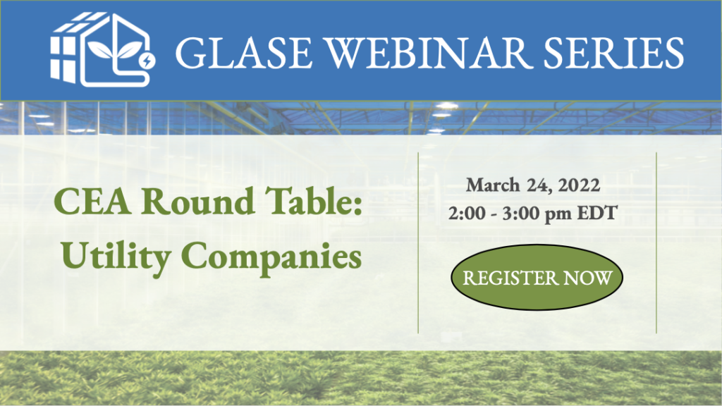 CEA Round Table: Utility Companies