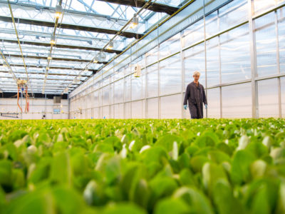 How sustainable is your controlled environment operation?