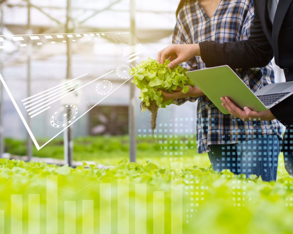 Hydroponic farm with technology, researcher, agricultural expert introduce owner farmer checking good balance of water and oxygen as temperature, lights, pH level, humidity, system of growing plant