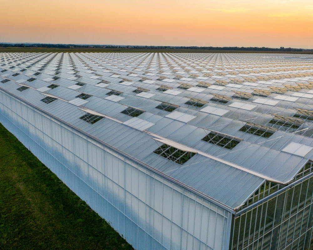 Aerial view of large greenhouse for growing vegetable