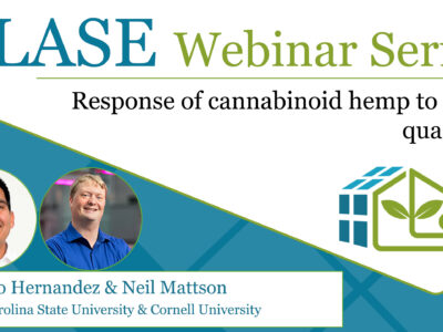 Response of cannabinoid hemp to light quantity and quality
